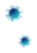 virus