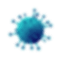virus